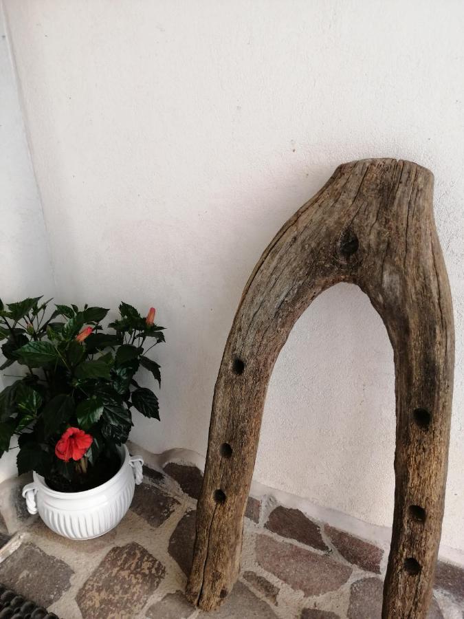 B&B Mario Relais Sorrento Luaran gambar