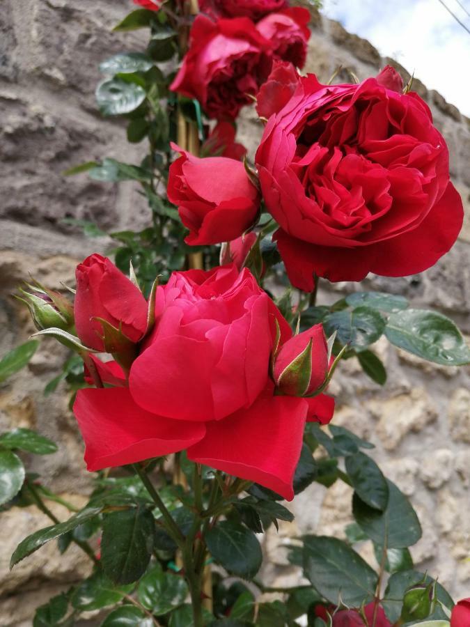 B&B Mario Relais Sorrento Luaran gambar